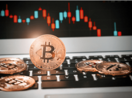 Bitcoin and Cryptocurrencies: A Comparison of Inflationary and Deflationary Aspects